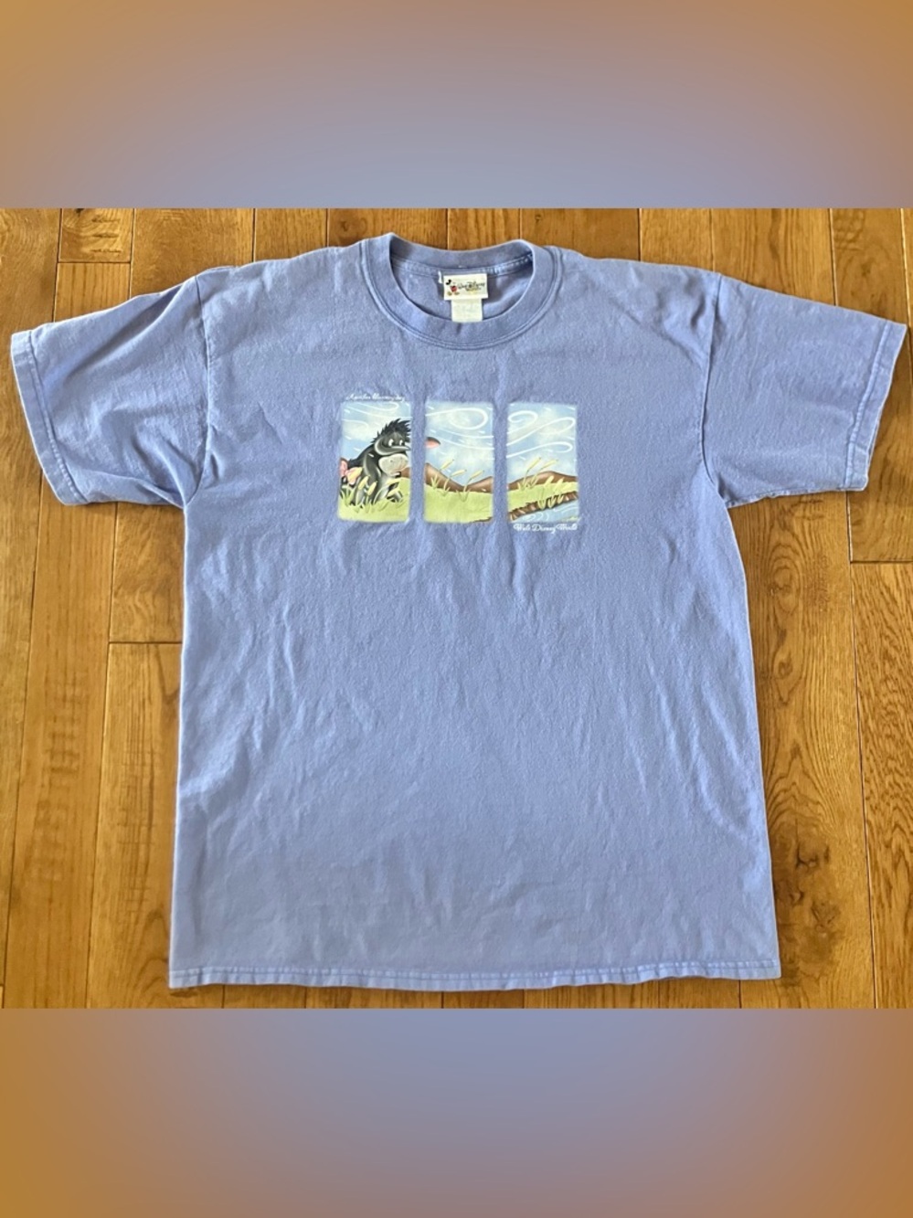 Vintage 90s DISNEY EEYORE WINNIE THE POOH  T-Shirt LARGE Disney World Exclusive